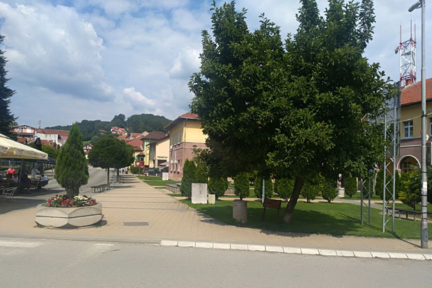 Крупањ цвета после поплаве